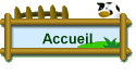 Accueil